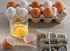 Яйца не виноваты! Холестерин в них оказался безопасным